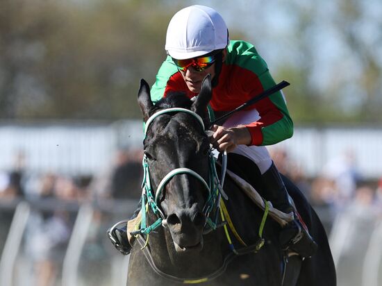 Russia Horse Race