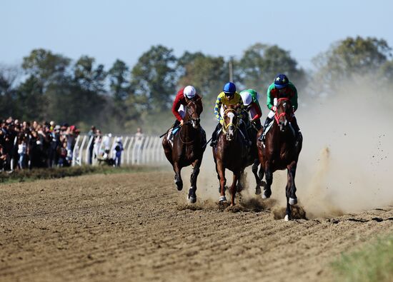 Russia Horse Race