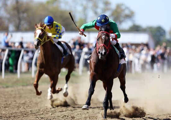Russia Horse Race