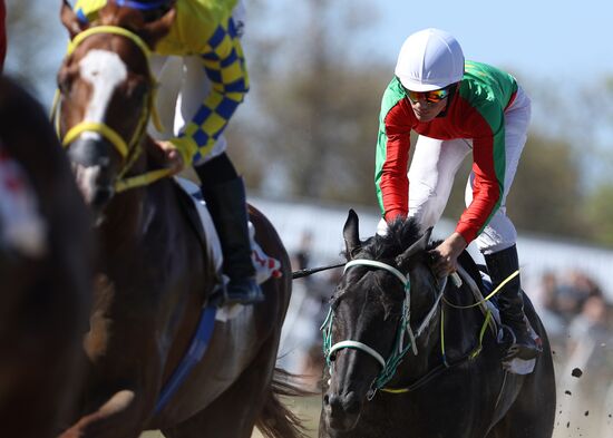 Russia Horse Race
