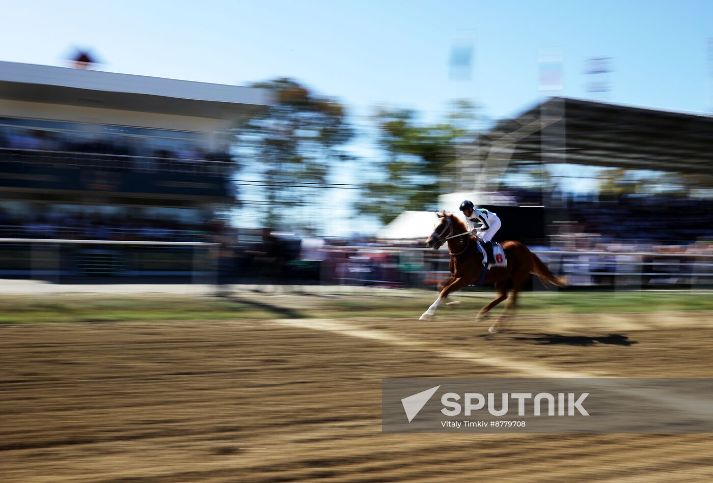 Russia Horse Race