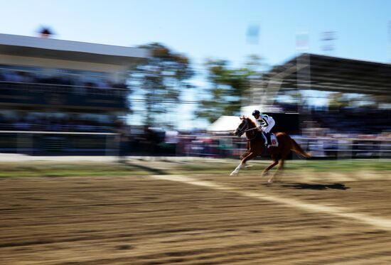 Russia Horse Race