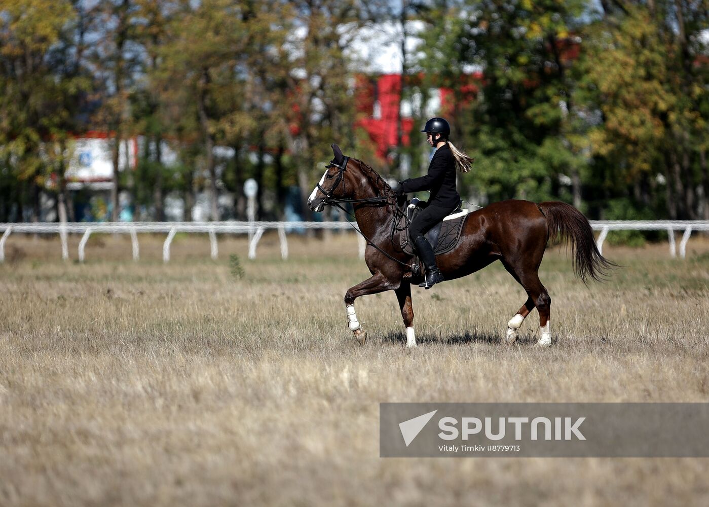 Russia Horse Race