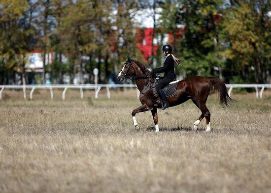Russia Horse Race