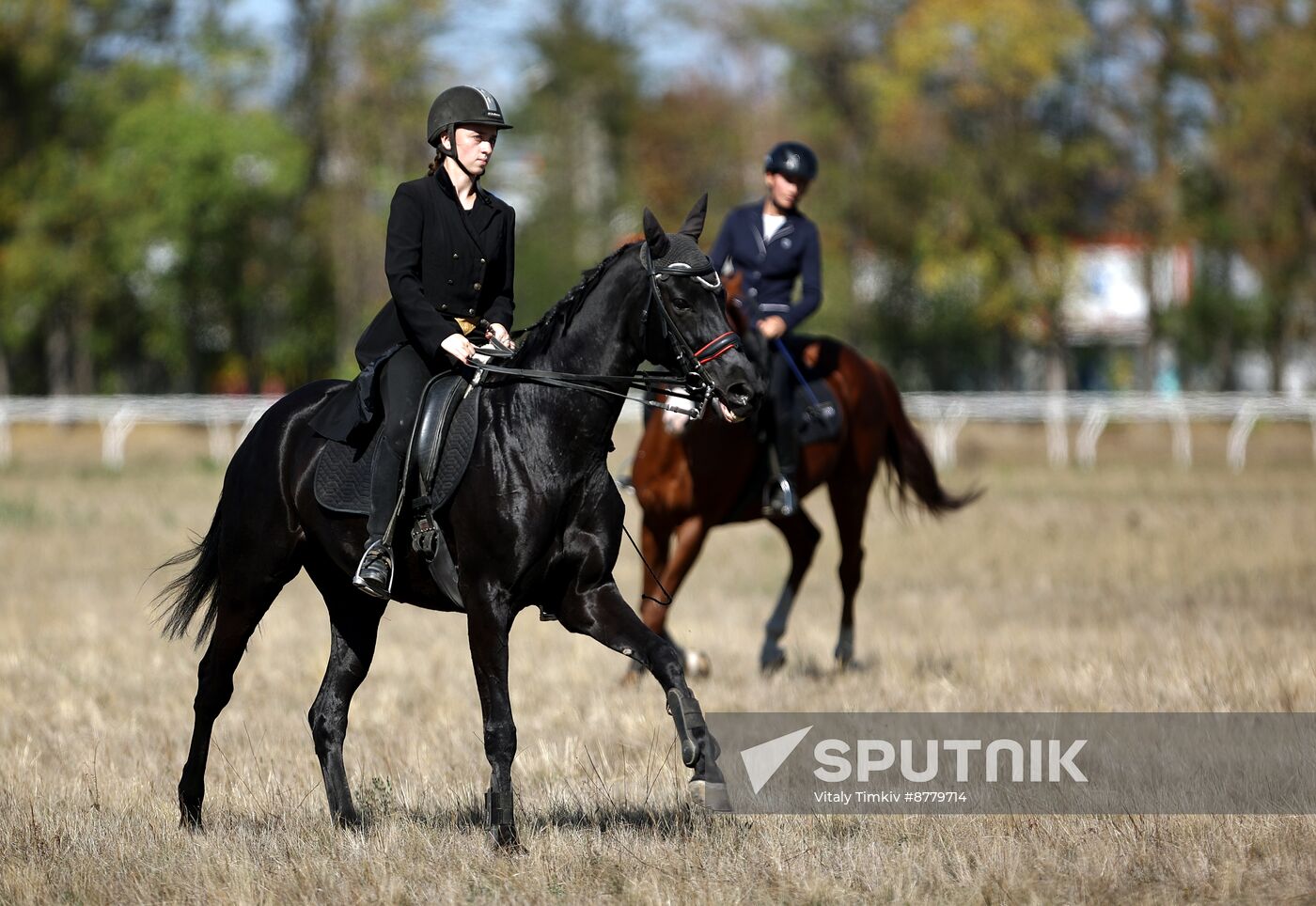 Russia Horse Race