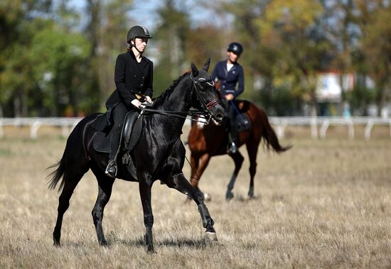 Russia Horse Race