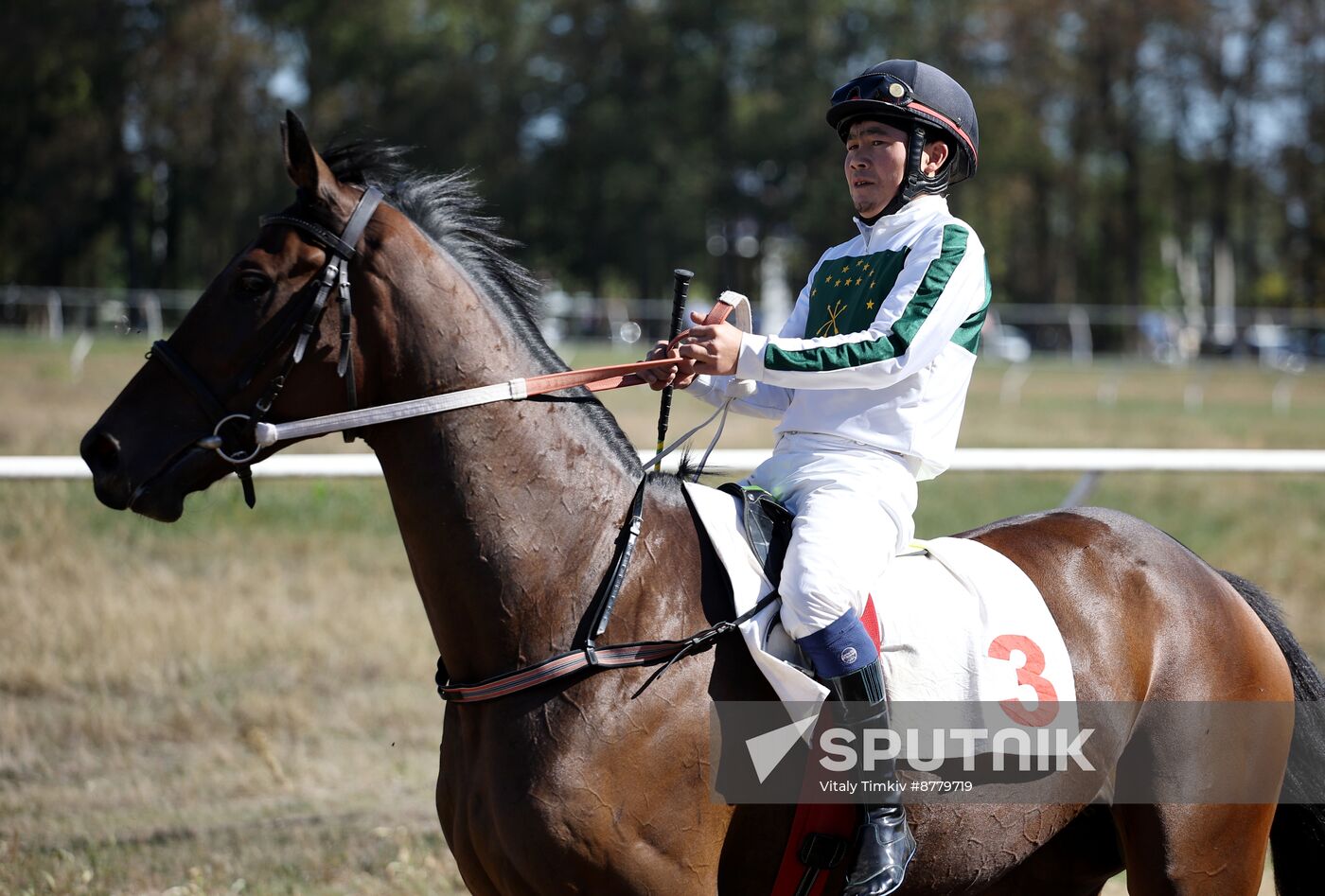 Russia Horse Race