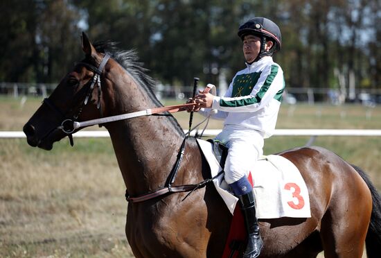 Russia Horse Race