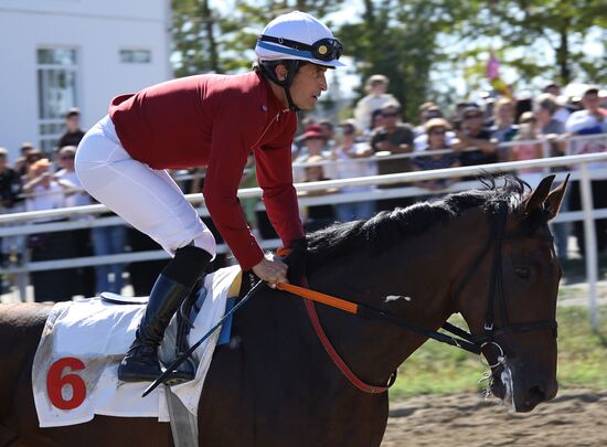 Russia Horse Race