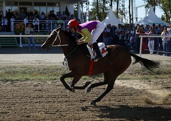 Russia Horse Race