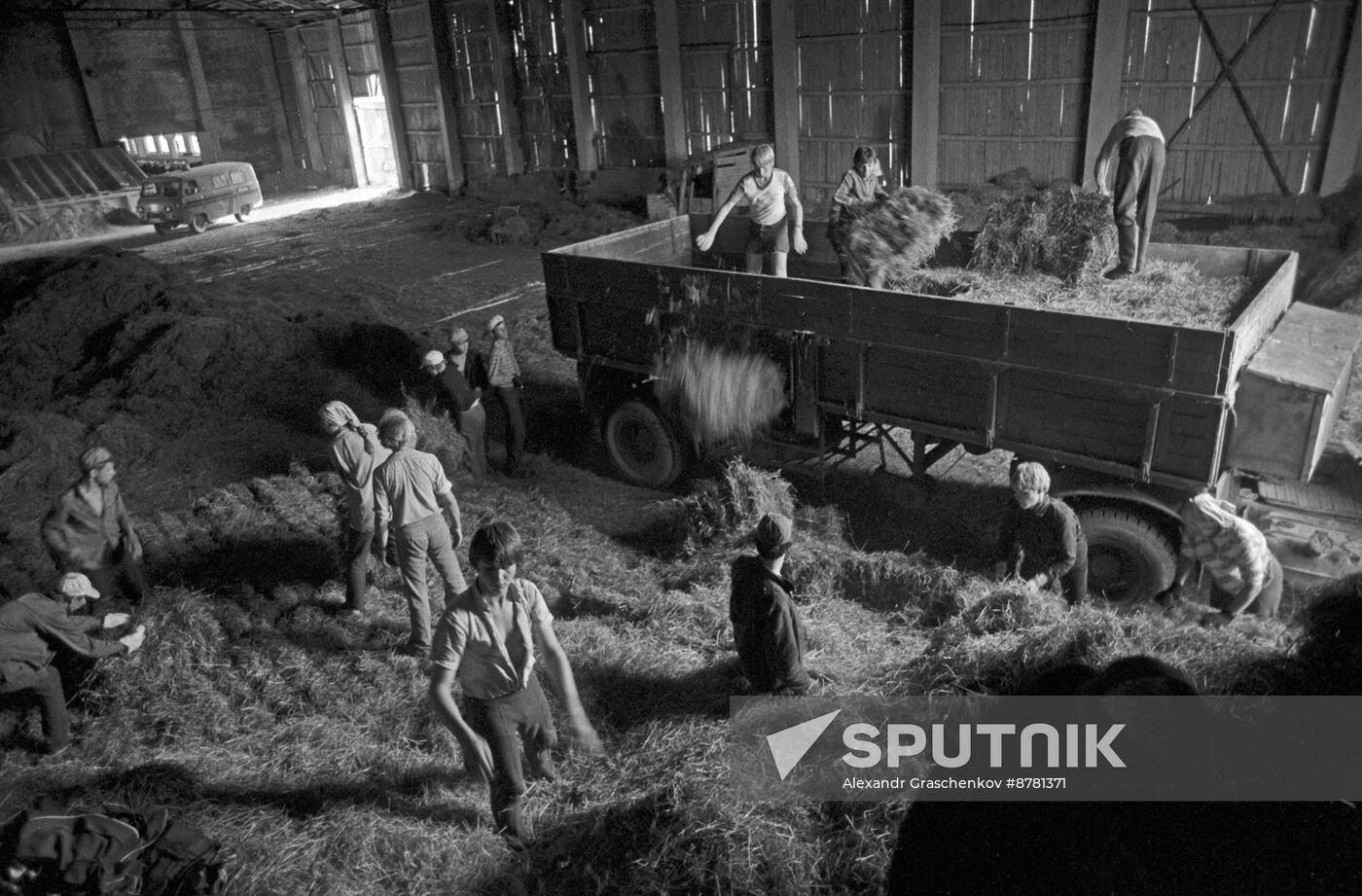 Moscow's school students at work