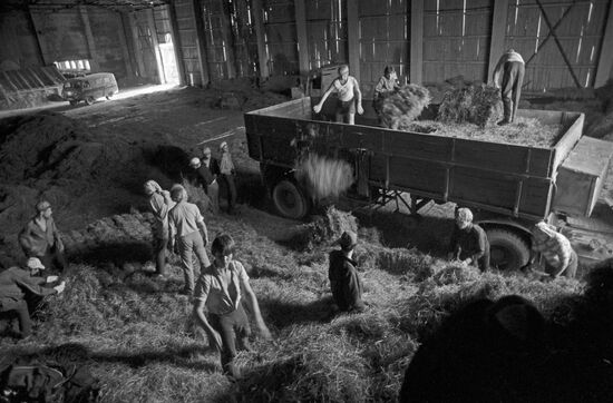 Moscow's school students at work