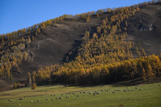 Russia Environment