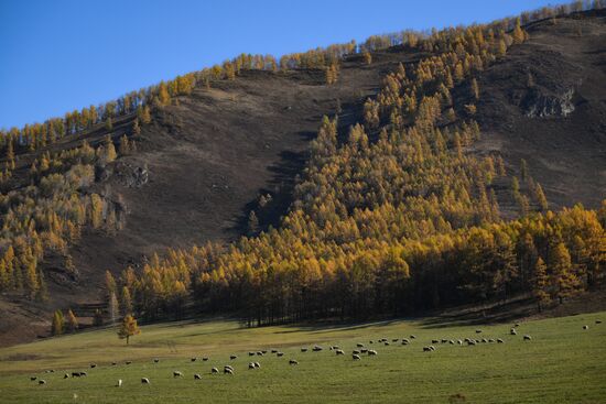 Russia Environment