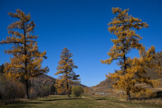 Russia Environment