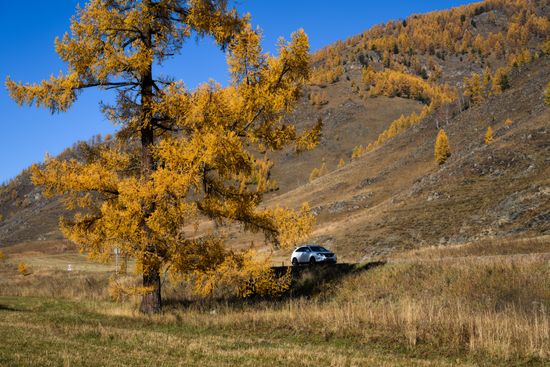 Russia Environment