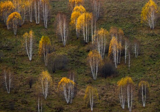 Russia Environment