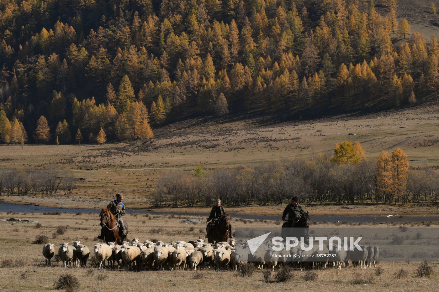 Russia Environment