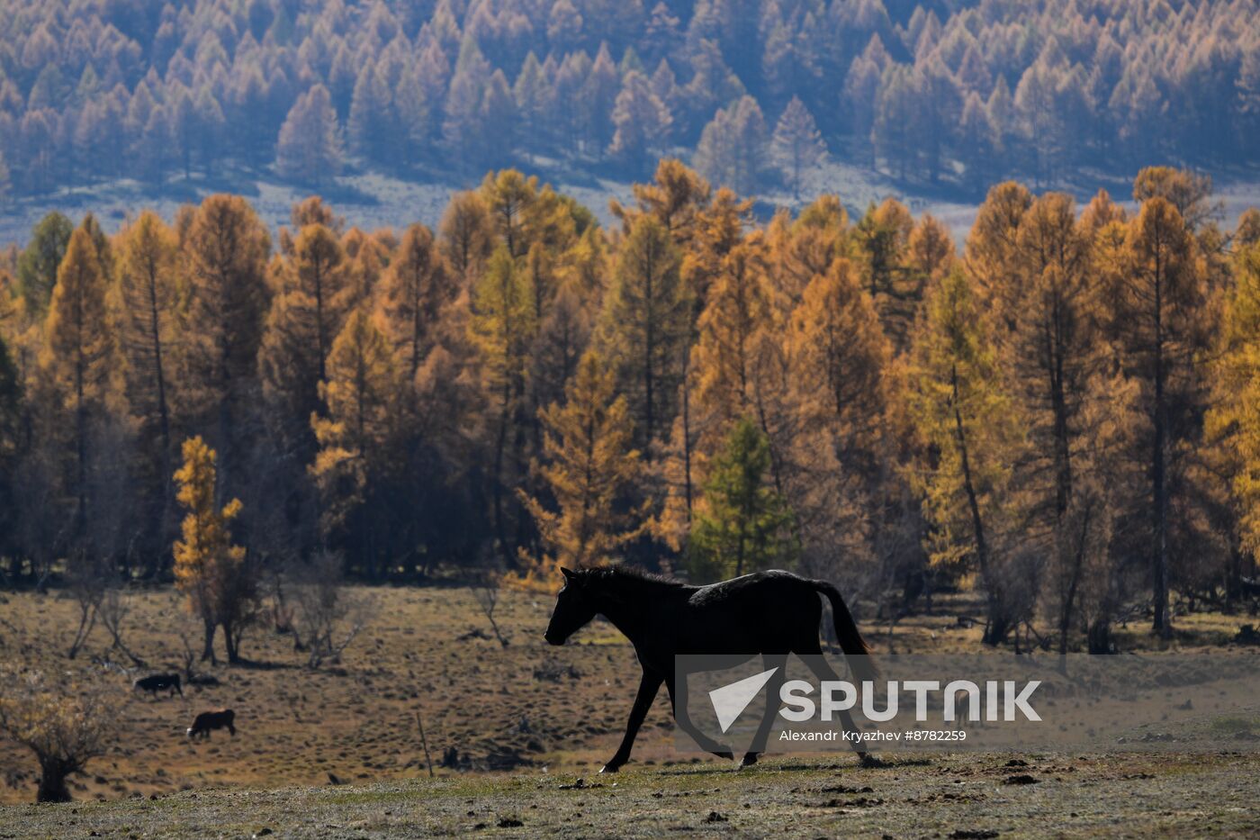 Russia Environment