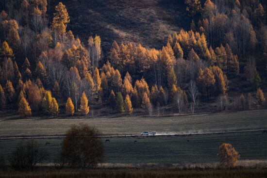 Russia Environment