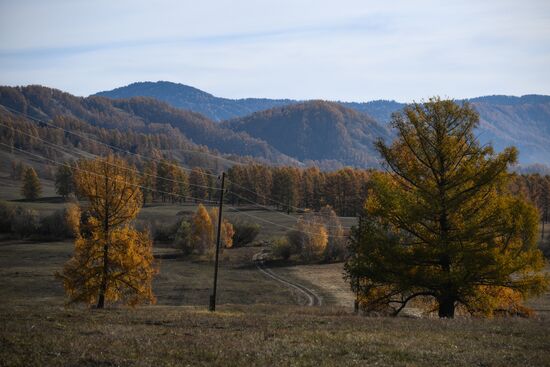 Russia Environment