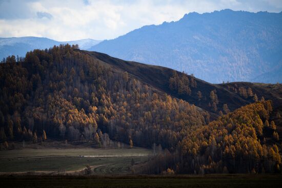 Russia Environment