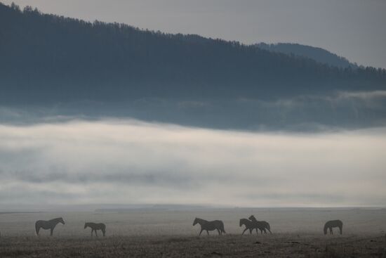 Russia Environment