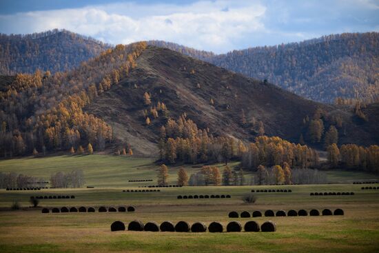 Russia Environment