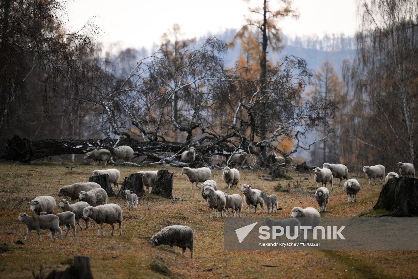 Russia Environment