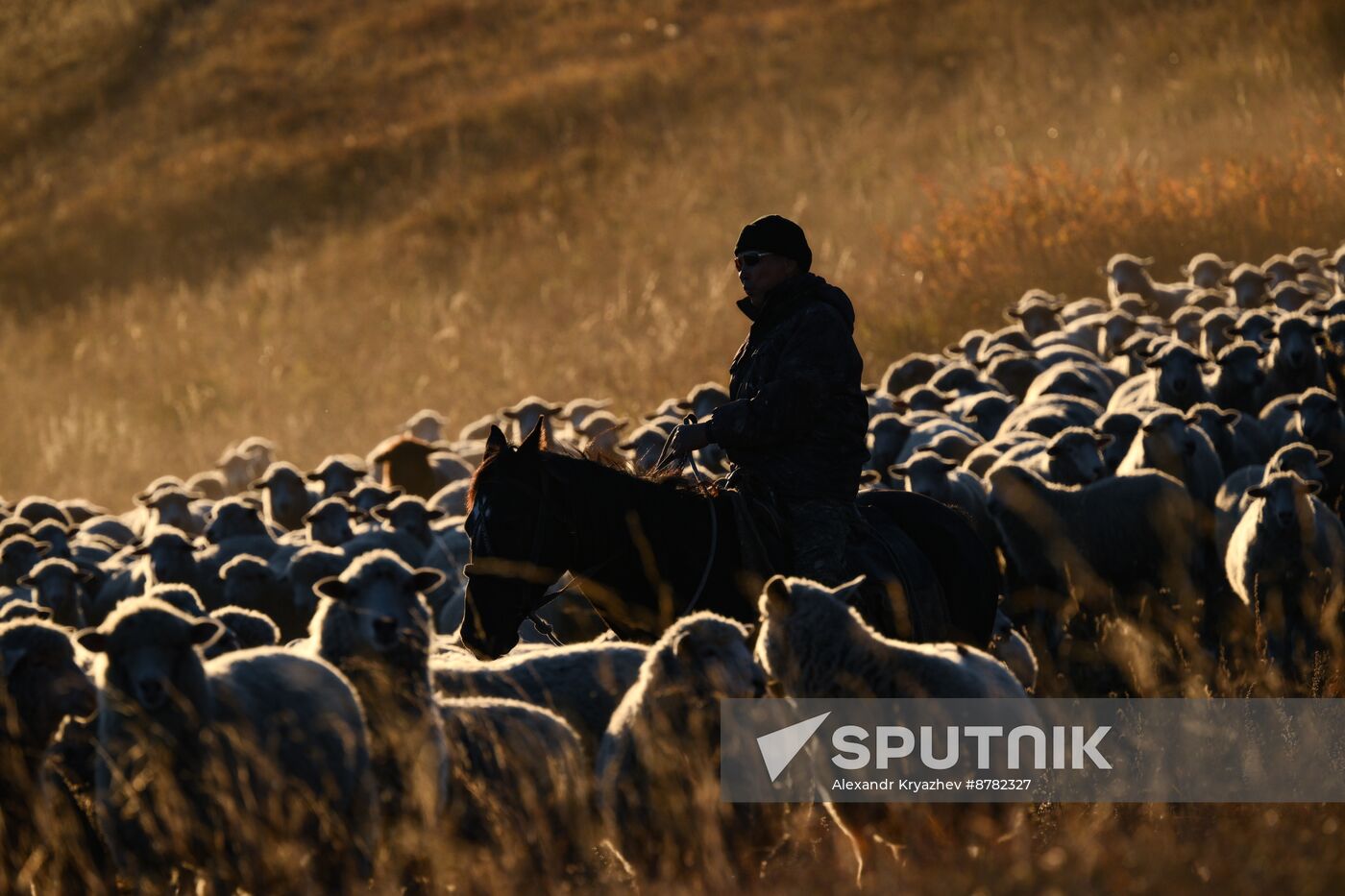 Russia Siberia Herding Camp