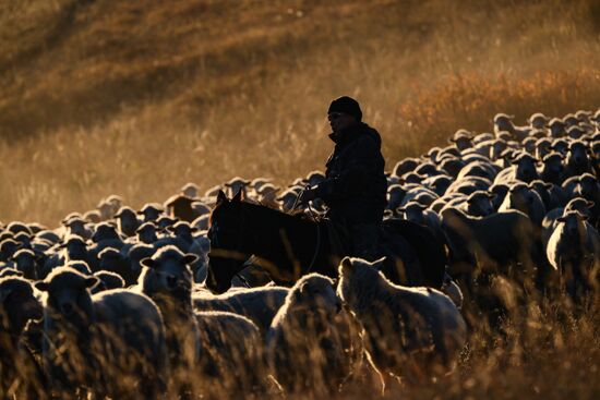 Russia Siberia Herding Camp