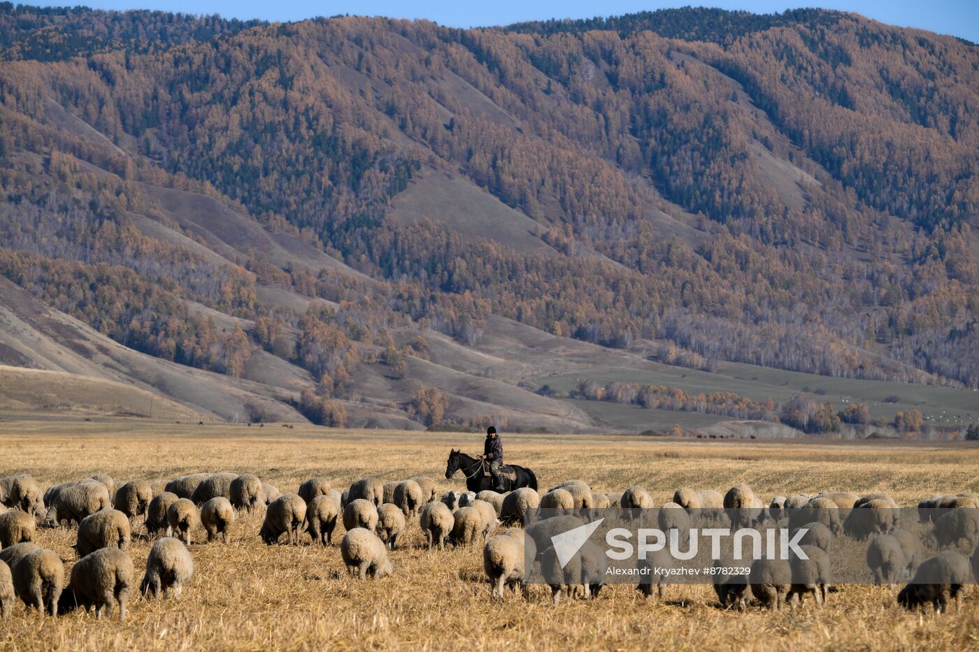 Russia Siberia Herding Camp