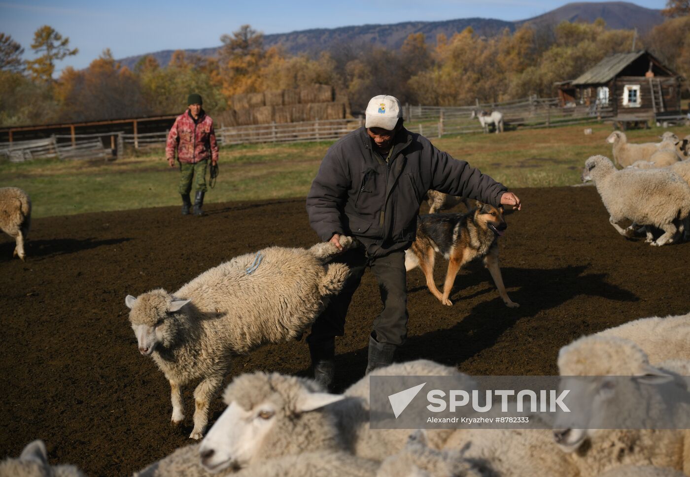 Russia Siberia Herding Camp