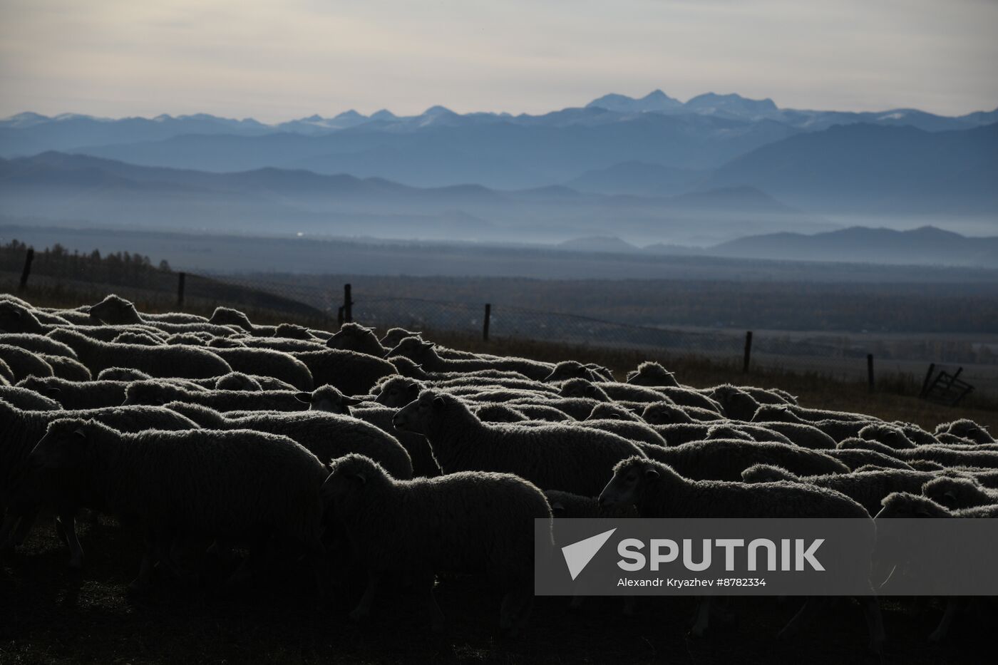 Russia Siberia Herding Camp