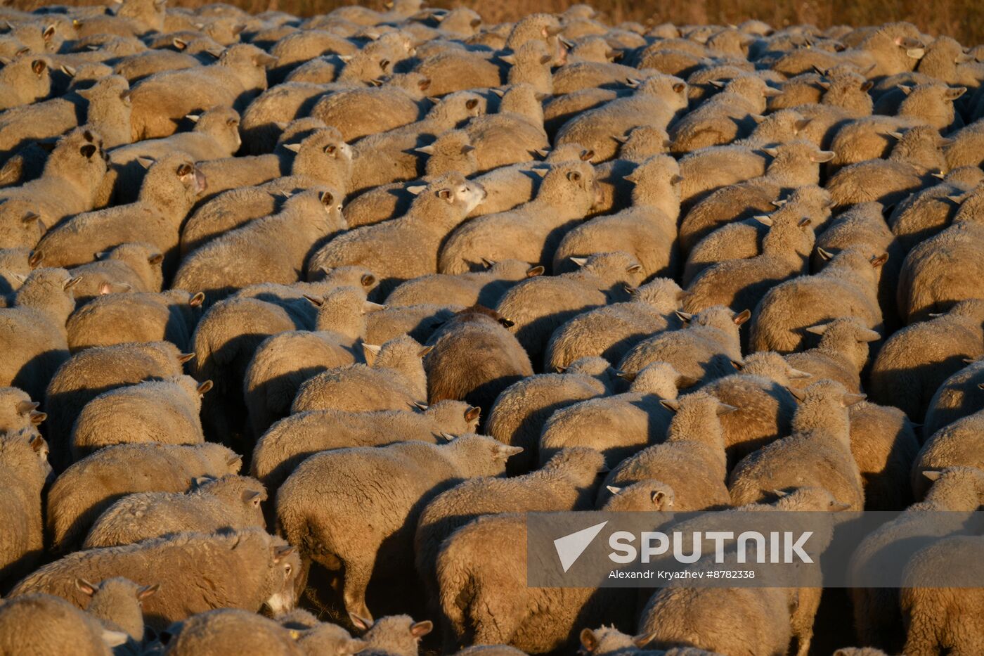 Russia Siberia Herding Camp