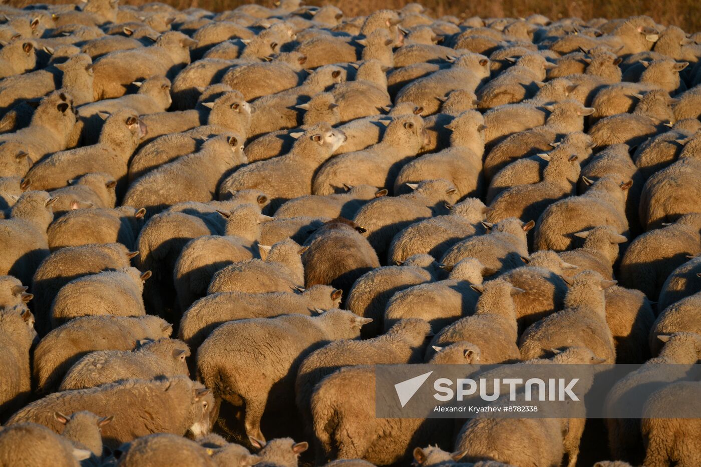 Russia Siberia Herding Camp