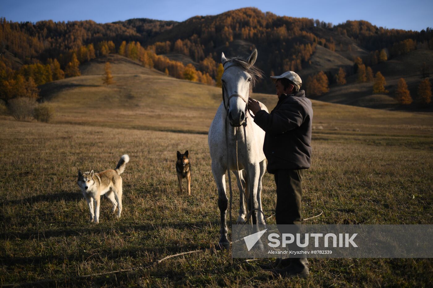 Russia Siberia Herding Camp