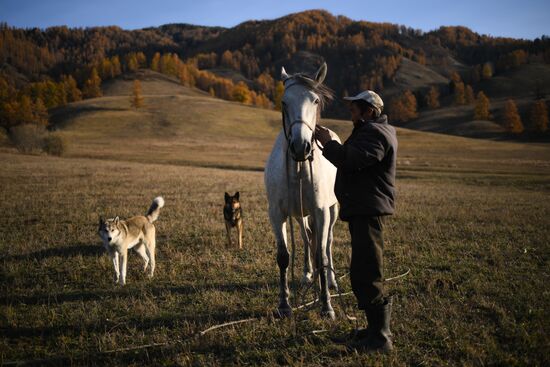 Russia Siberia Herding Camp