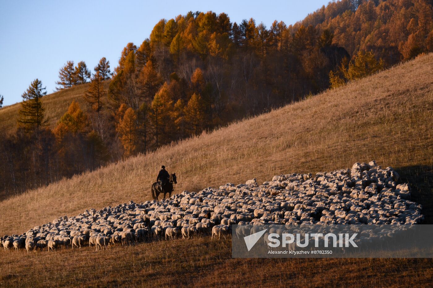 Russia Siberia Herding Camp