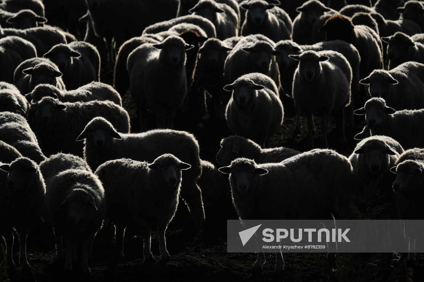 Russia Siberia Herding Camp