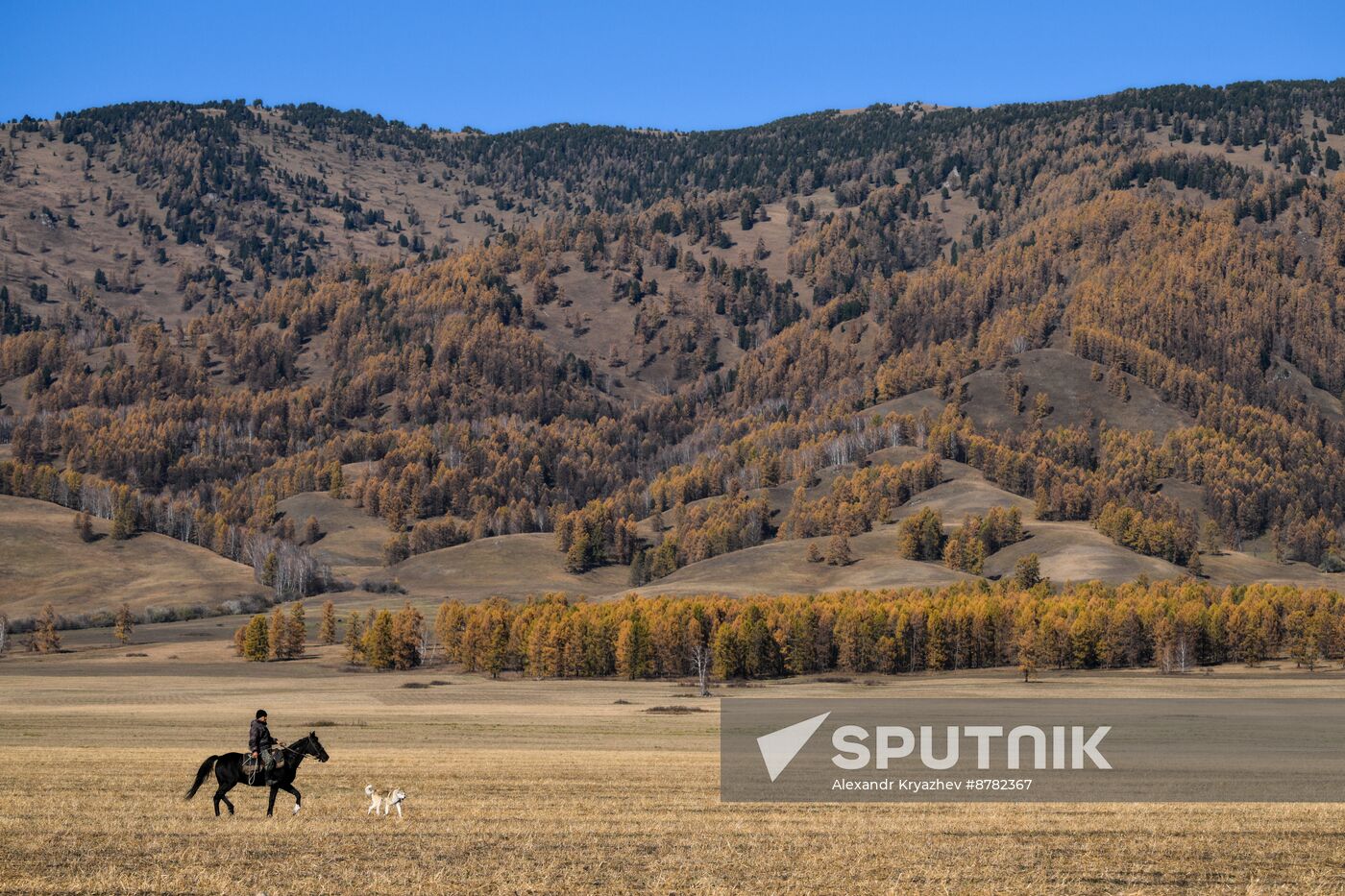 Russia Siberia Herding Camp