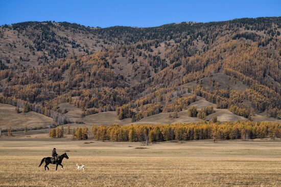 Russia Siberia Herding Camp