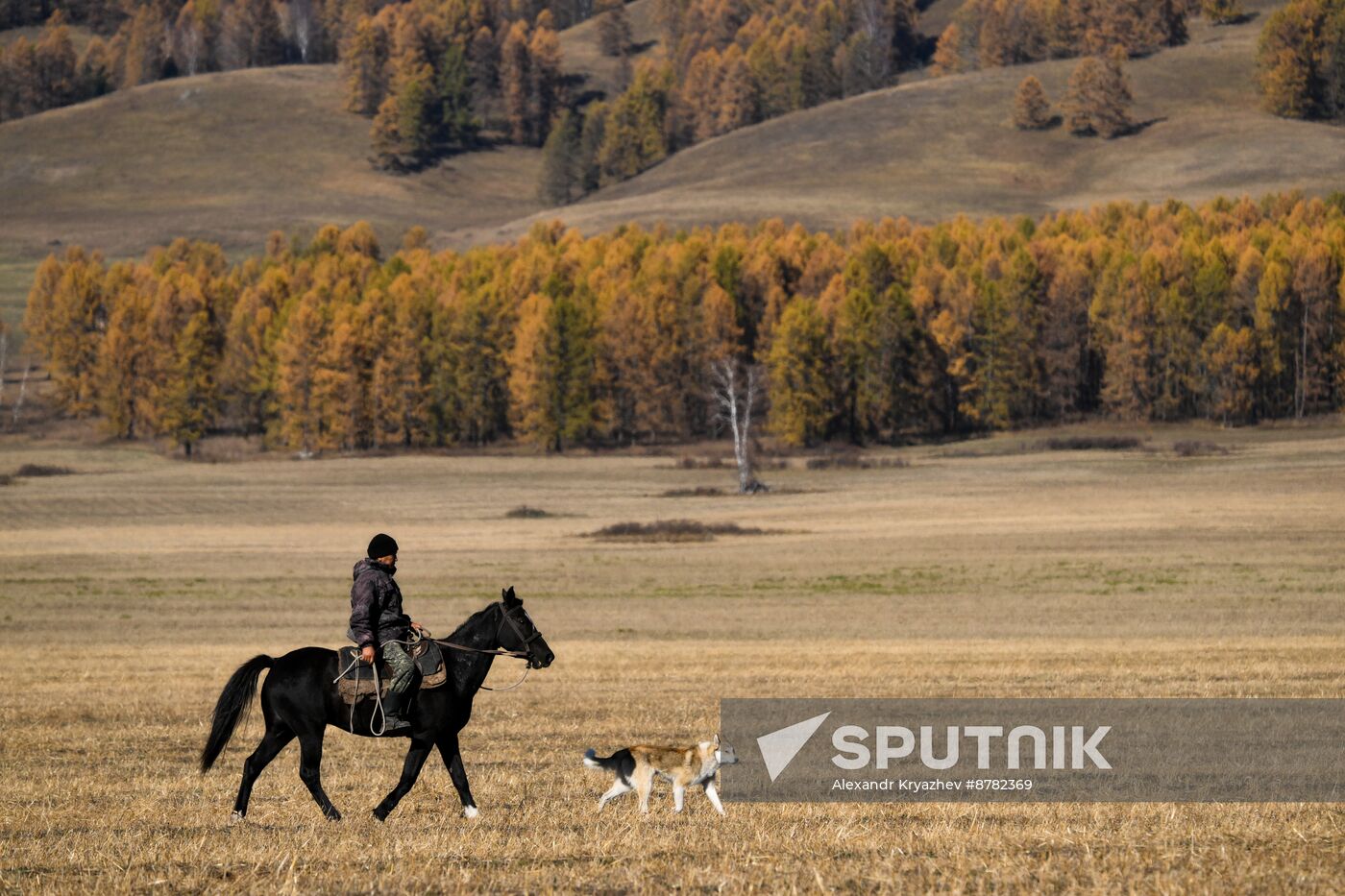 Russia Siberia Herding Camp