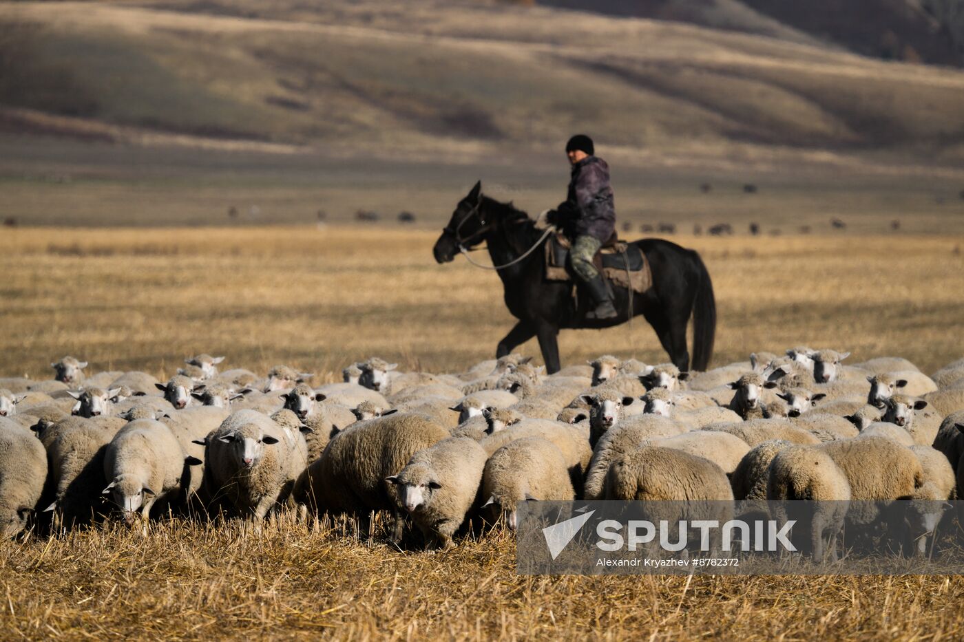 Russia Siberia Herding Camp