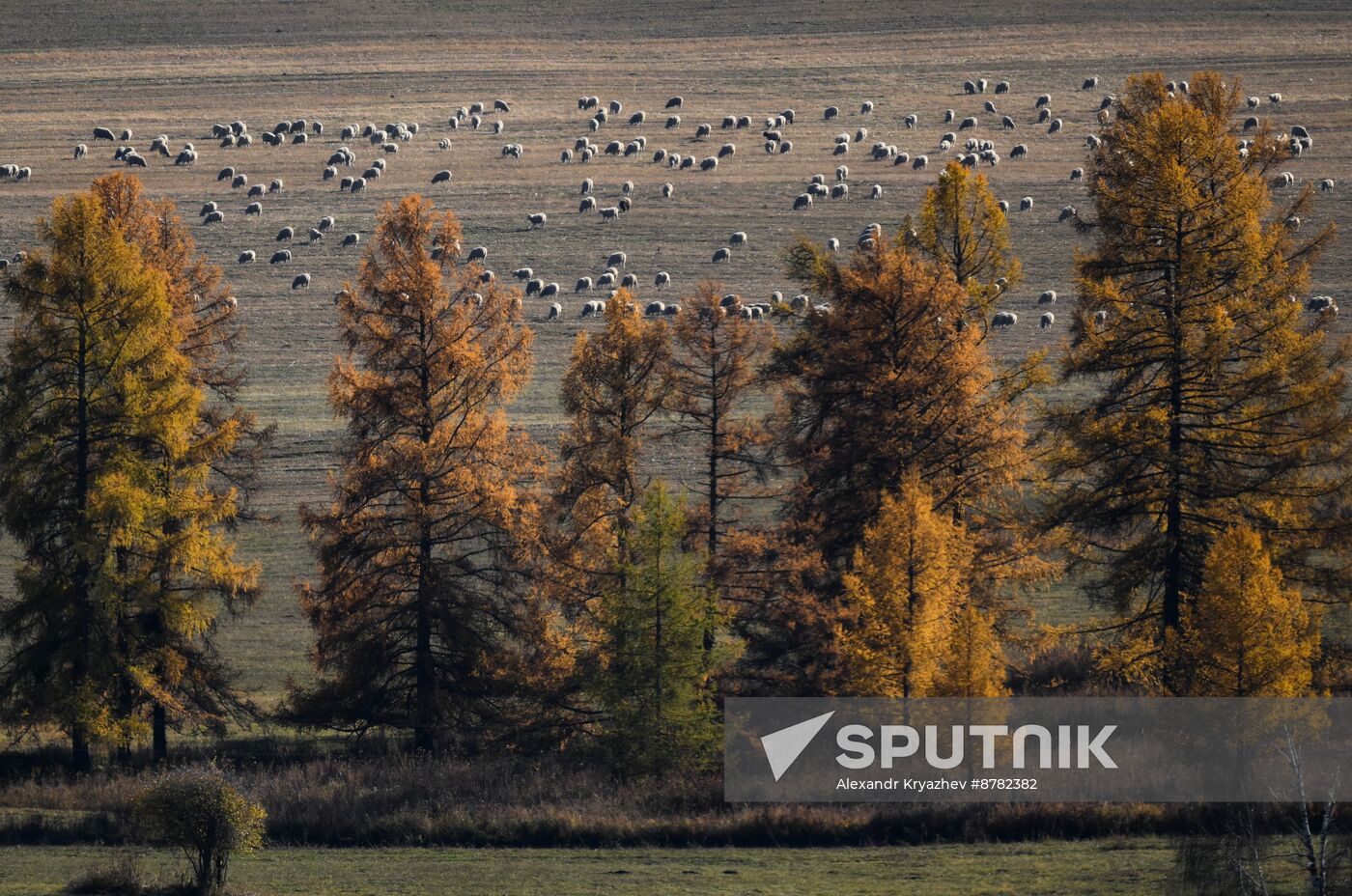 Russia Siberia Herding Camp