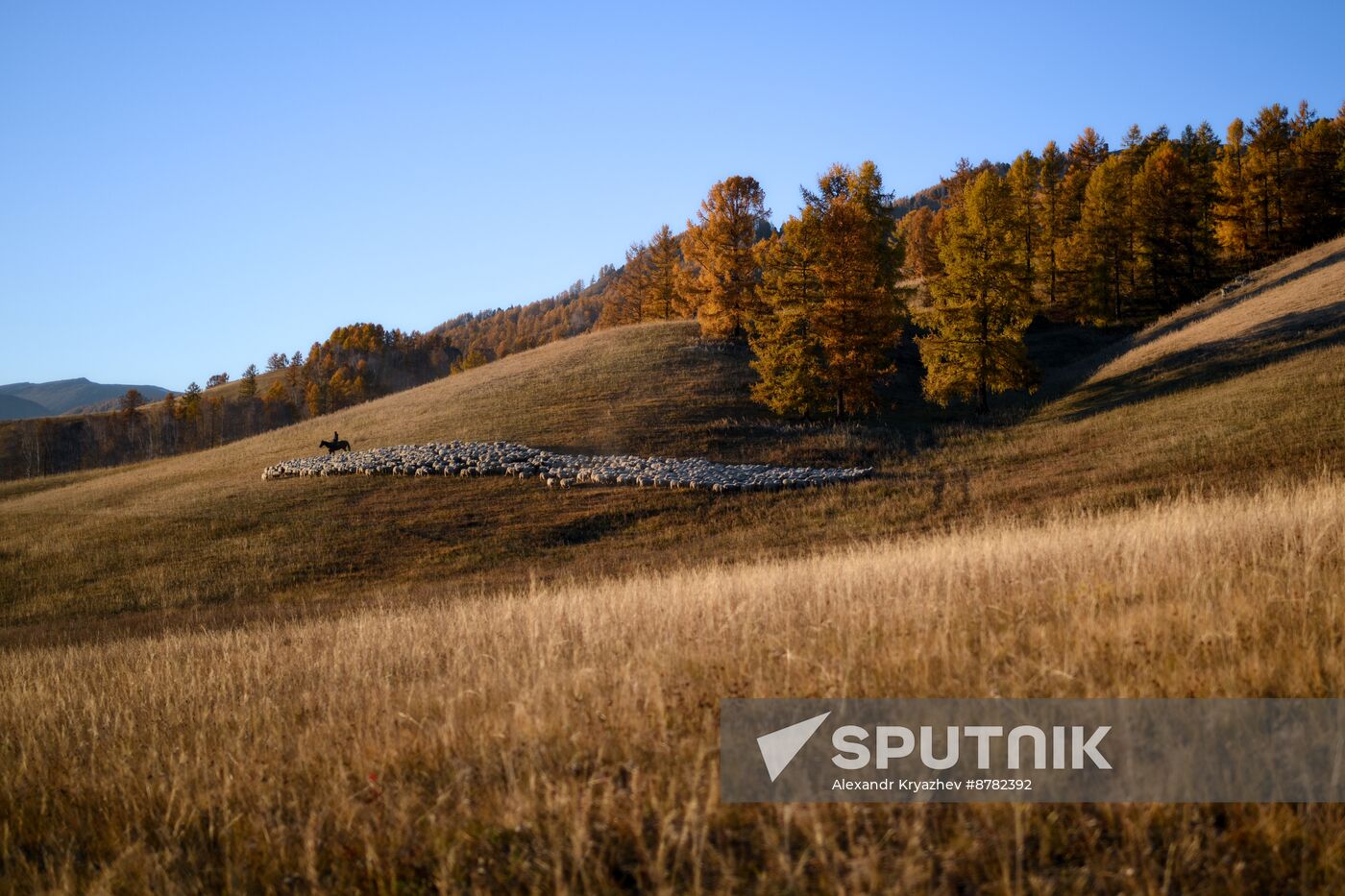 Russia Siberia Herding Camp