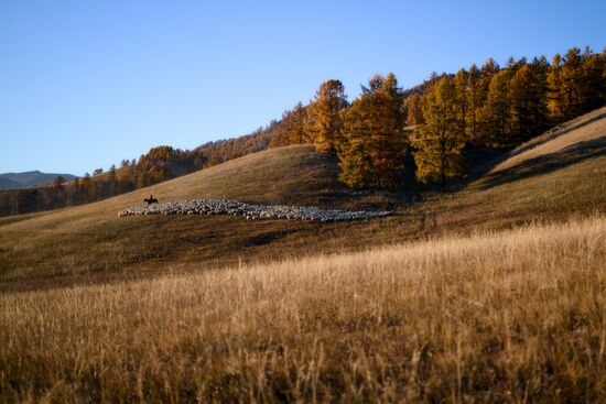 Russia Siberia Herding Camp