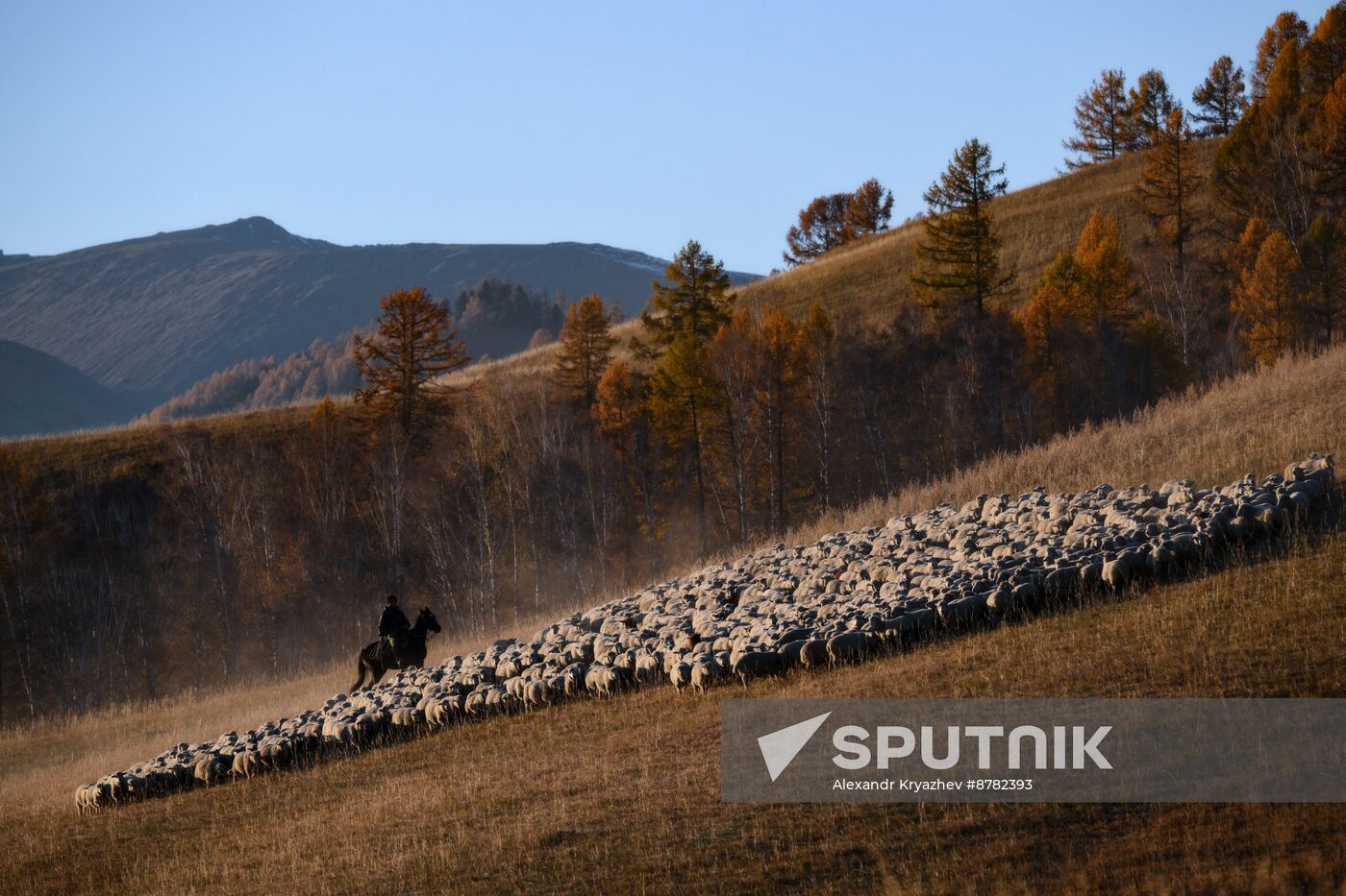 Russia Siberia Herding Camp