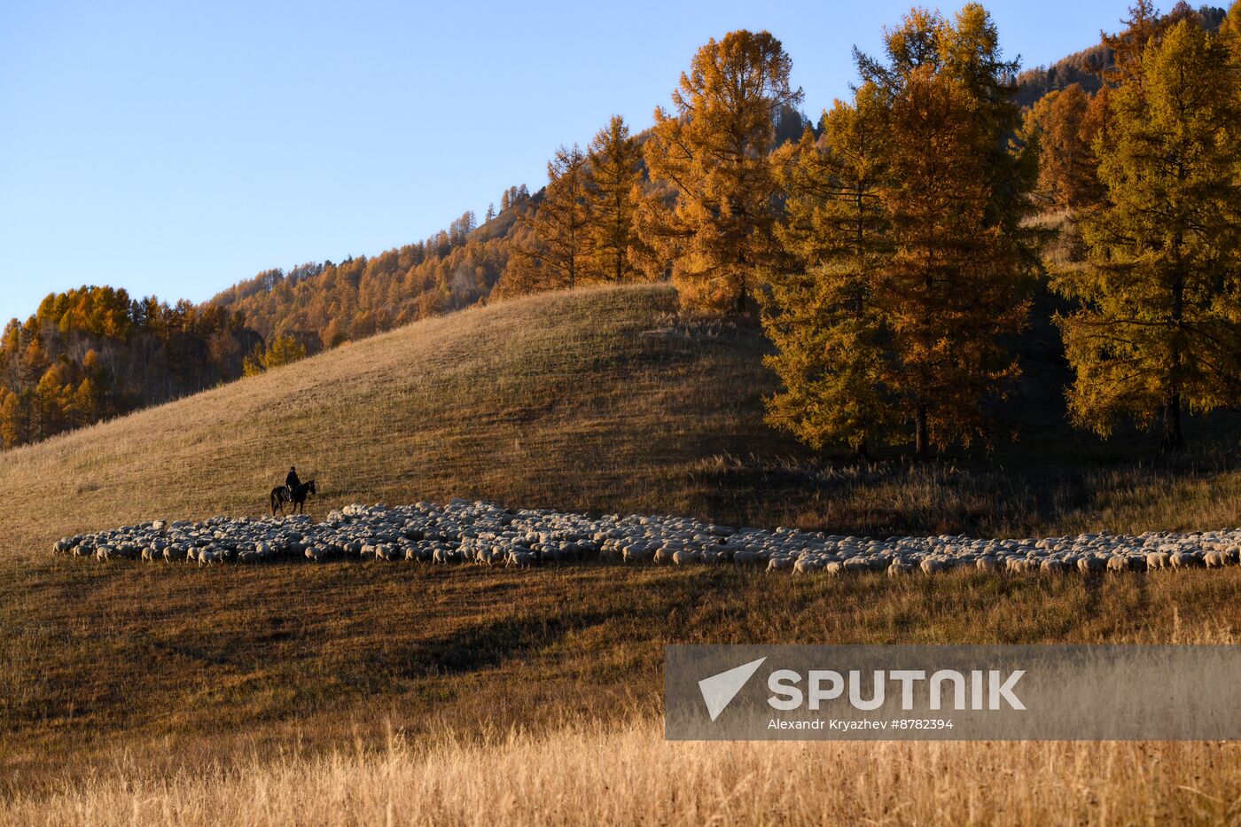 Russia Siberia Herding Camp