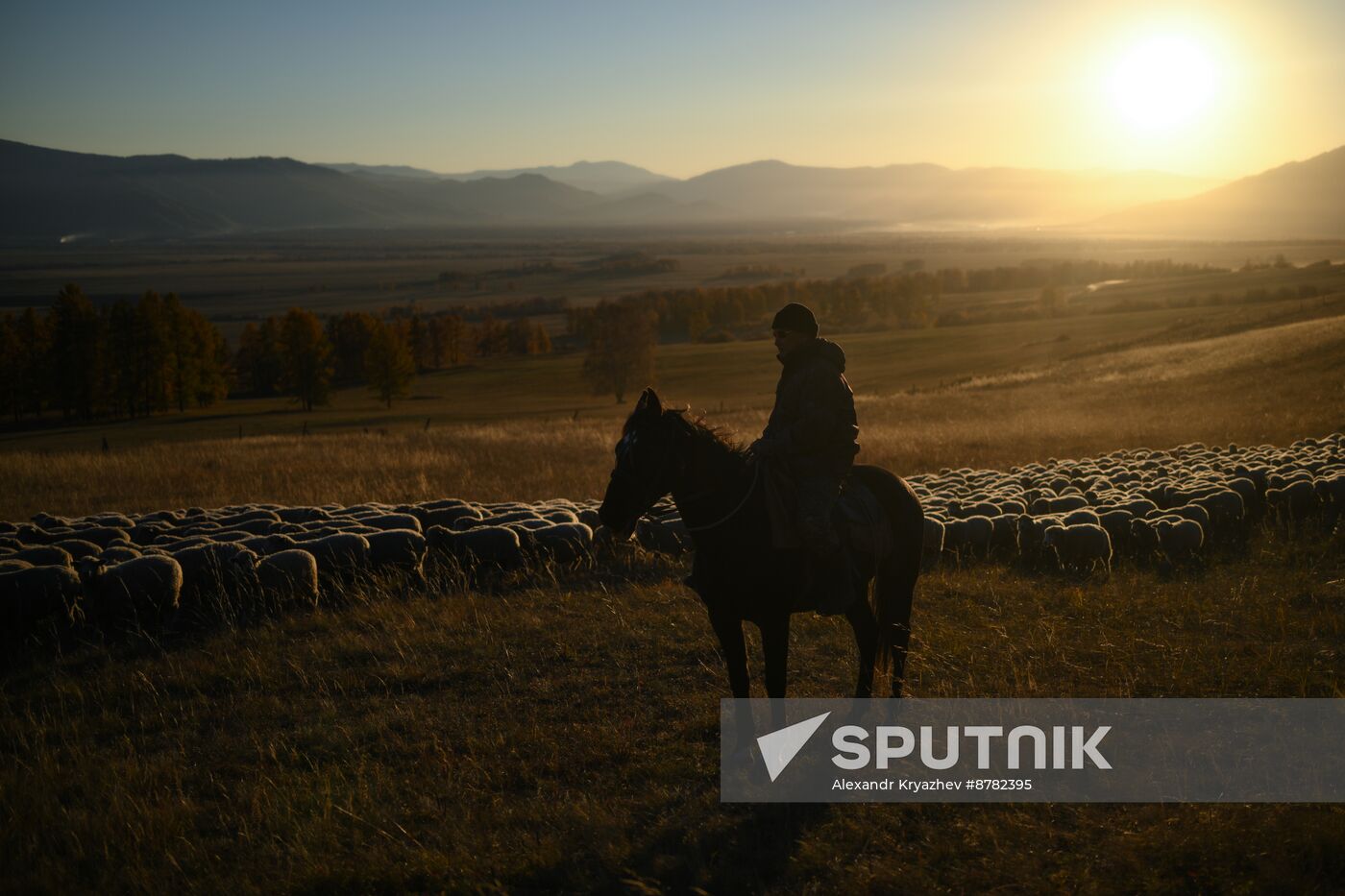 Russia Siberia Herding Camp